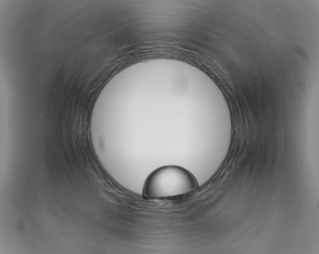 X0000111150328200906301043