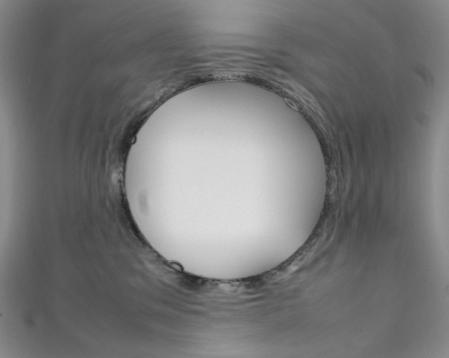 X0000111150329200906301043
