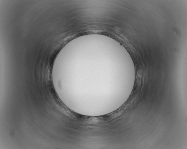 X0000111150330200906301043