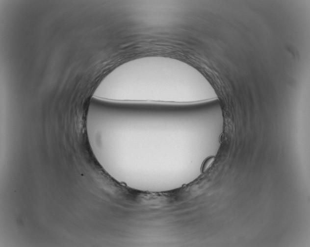 X0000111150331200906301043