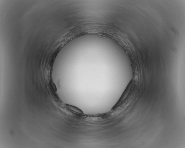 X0000111150332200906301043