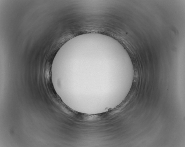 X0000111150334200906301043