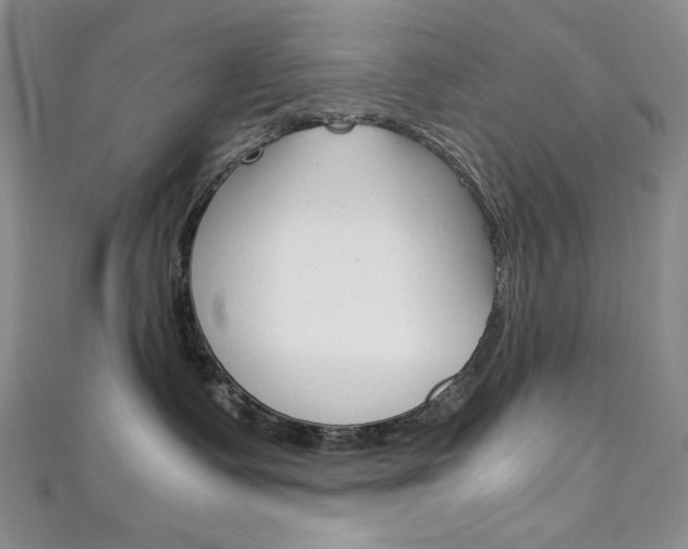 X0000111150335200906301042