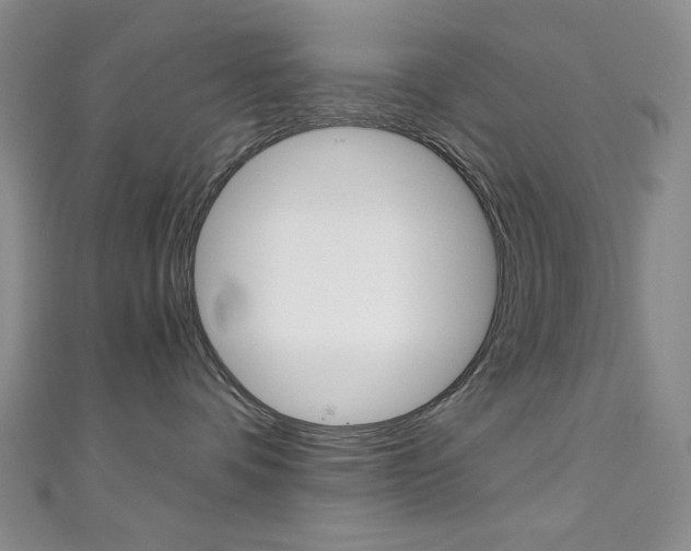X0000111150336200906301042