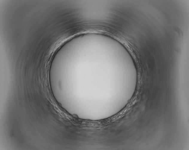 X0000111150337200906301042