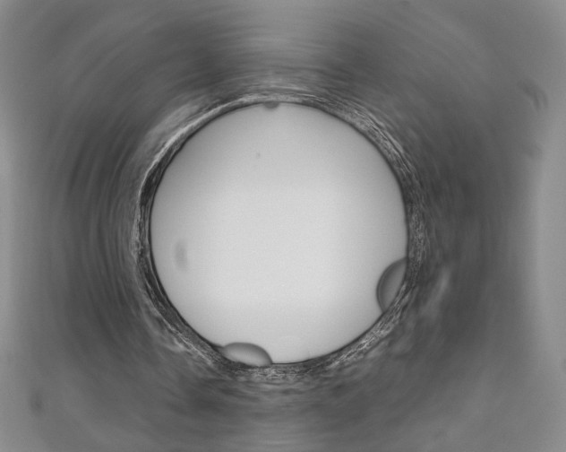 X0000111150338200906301042