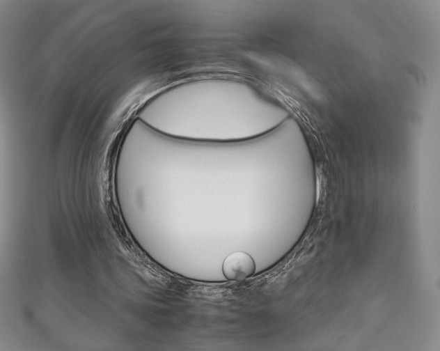 X0000111150339200906301042