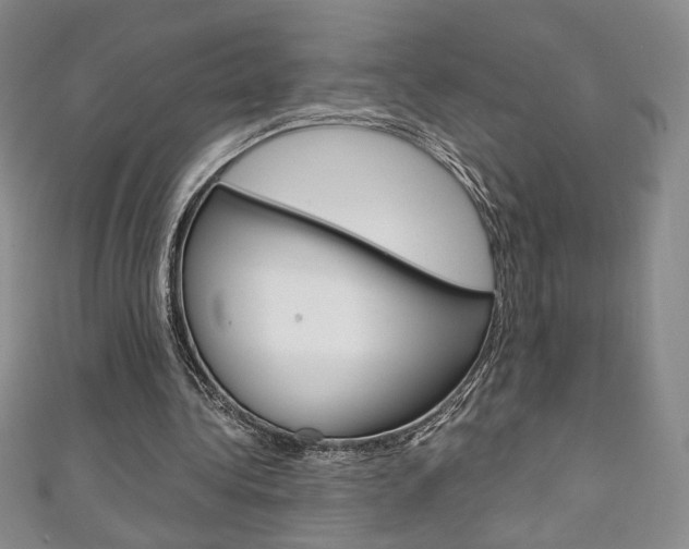 X0000111150340200906301042