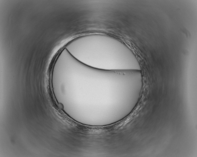 X0000111150342200906301042