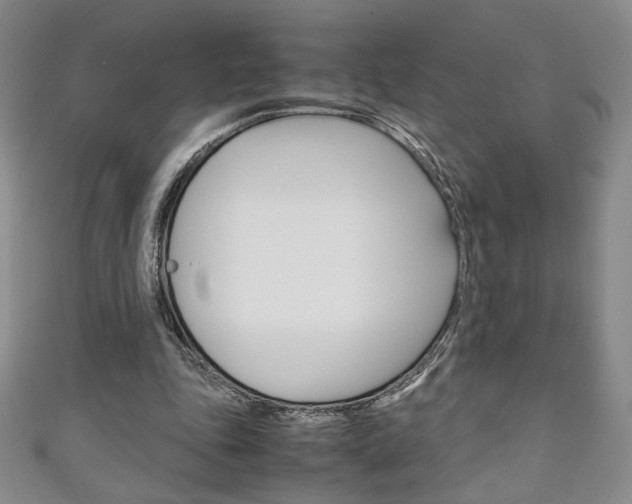 X0000111150343200906301042