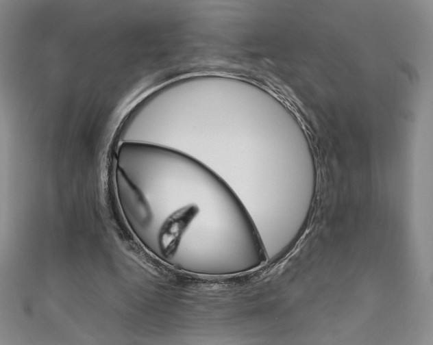 X0000111150344200906301042