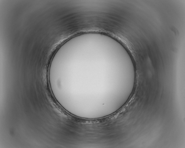 X0000111150345200906301042