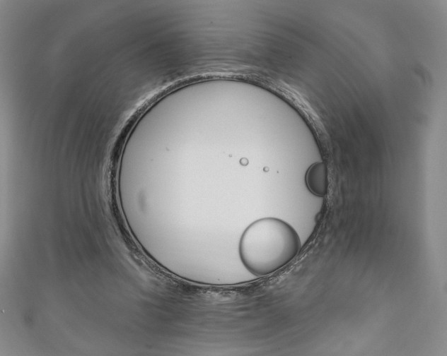X0000111150346200906301042