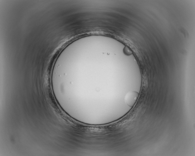 X0000111150347200906301042