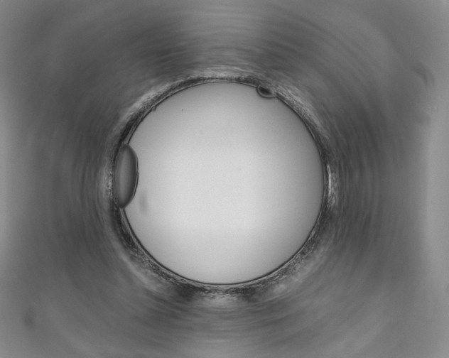 X0000111150348200906301042