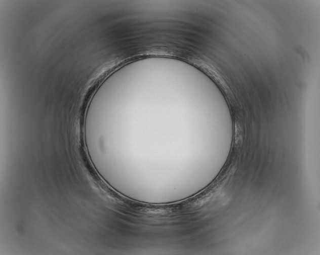 X0000111150349200906301042