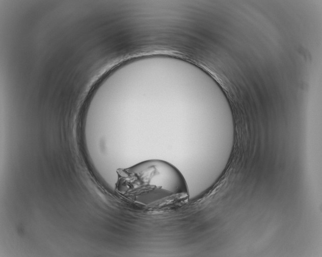X0000111150350200906301042