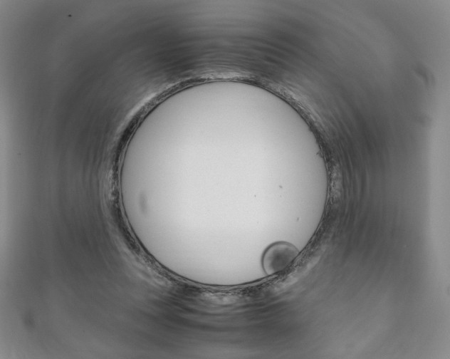 X0000111150351200906301042