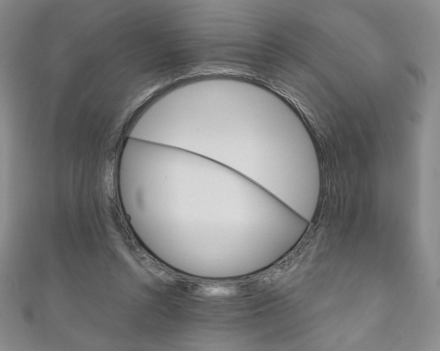 X0000111150352200906301042