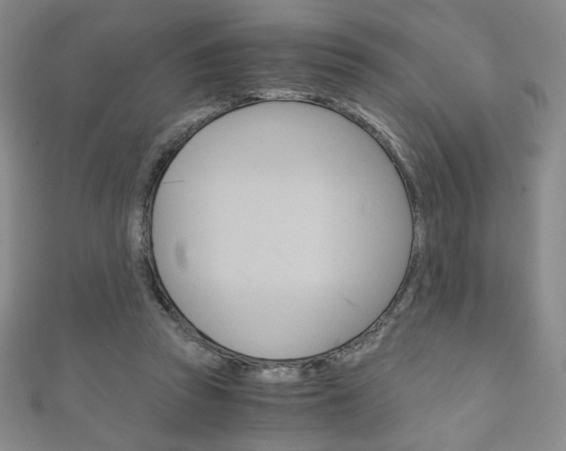 X0000111150353200906301042