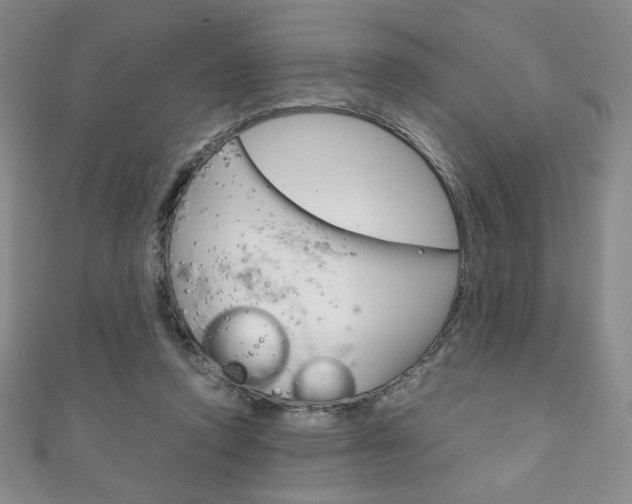 X0000111150354200906301042