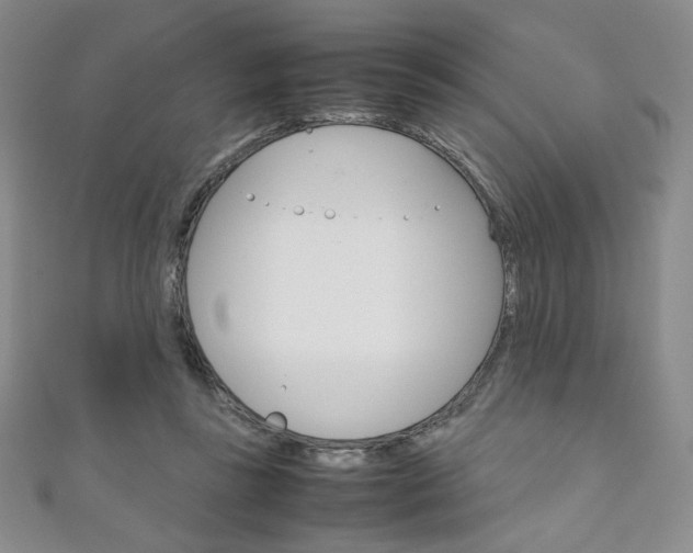 X0000111150355200906301042