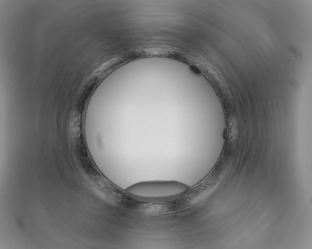 X0000111150356200906301042