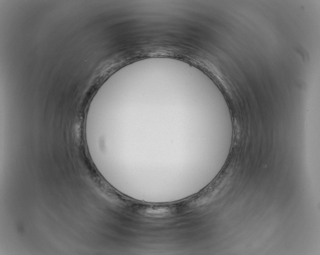 X0000111150357200906301042