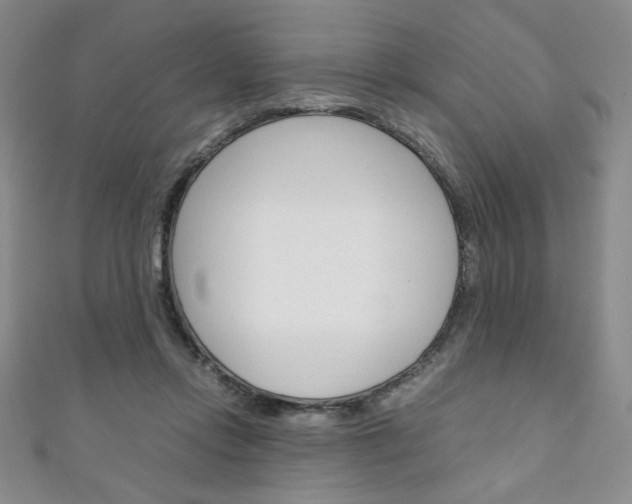 X0000111150358200906301042