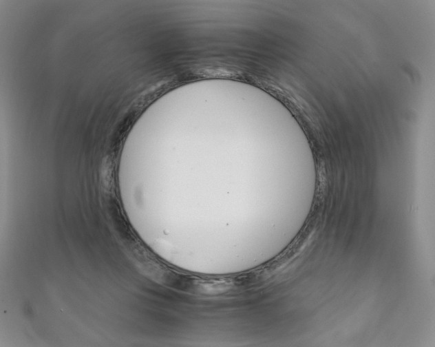 X0000111150359200906301042