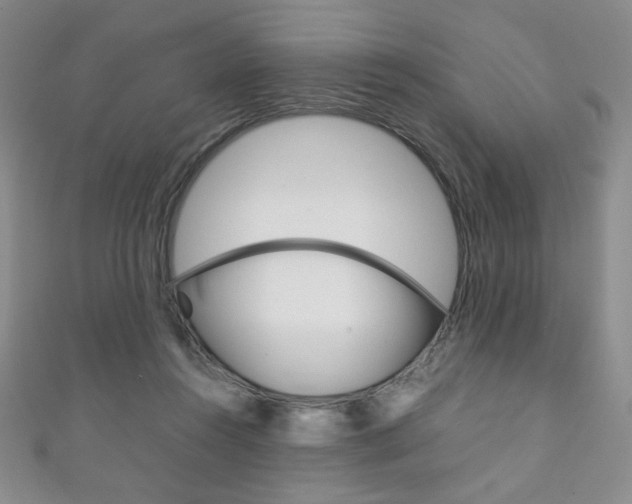 X0000111150360200906301042