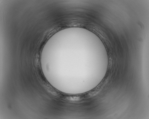 X0000111150361200906301042