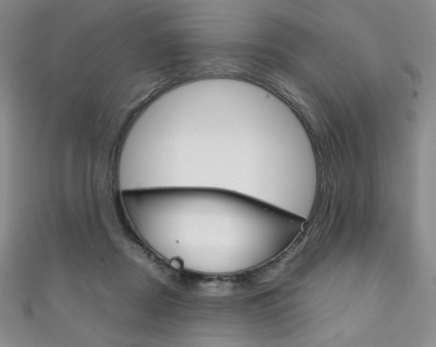 X0000111150362200906301042