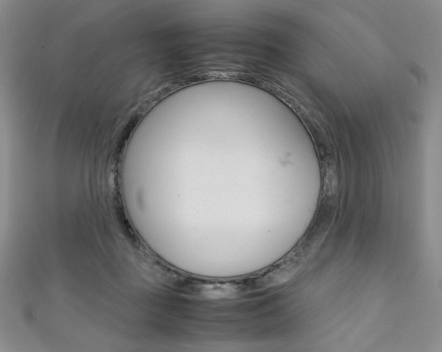 X0000111150363200906301042