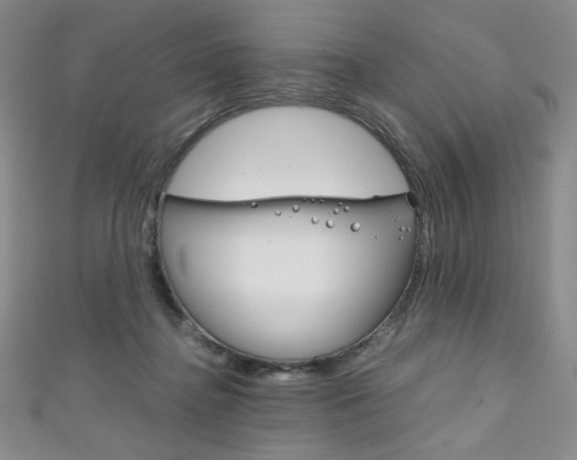 X0000111150364200906301042