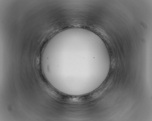 X0000111150365200906301042