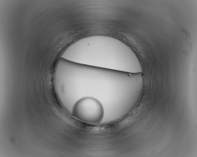 X0000111150366200906301042