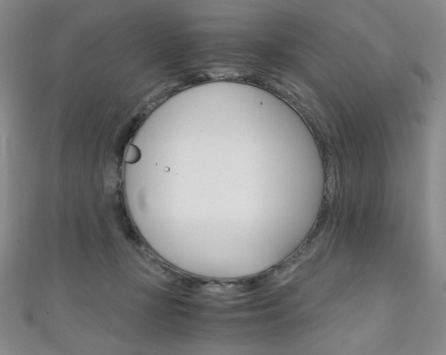 X0000111150367200906301042