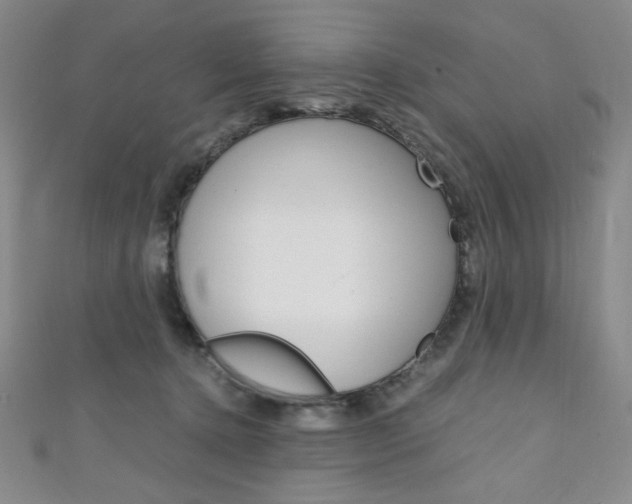 X0000111150368200906301042