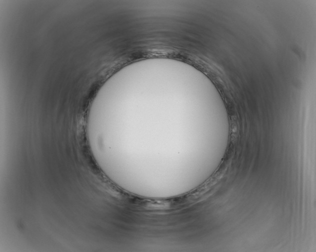 X0000111150369200906301042