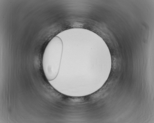 X0000111150370200906301042