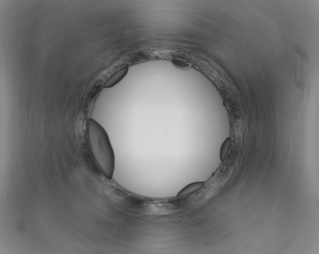 X0000111150372200906301042