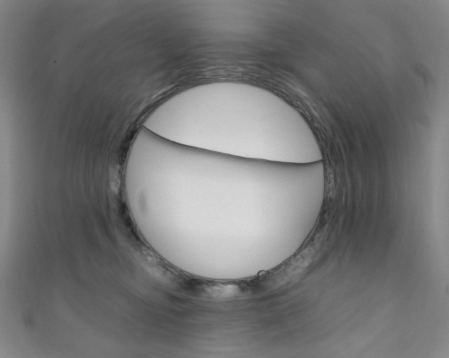 X0000111150374200906301042