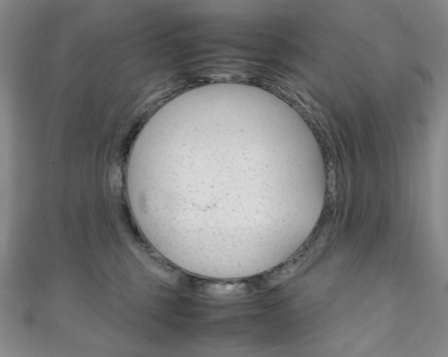 X0000111150375200906301042