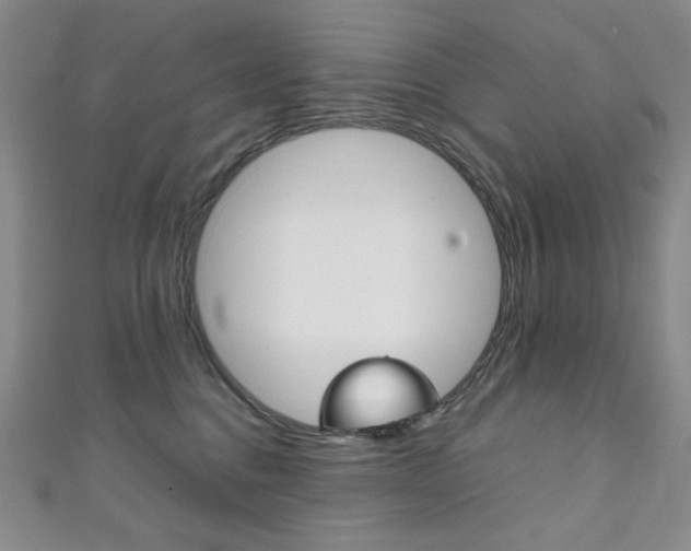 X0000111150376200906301042