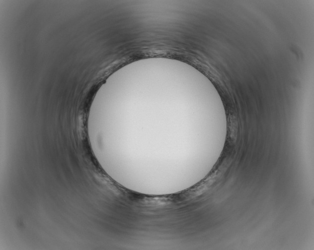 X0000111150378200906301042