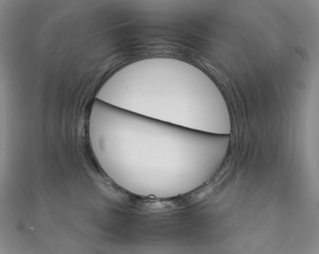 X0000111150379200906301042