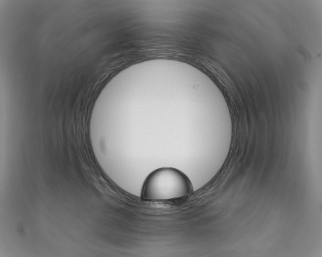 X0000111150380200906301042