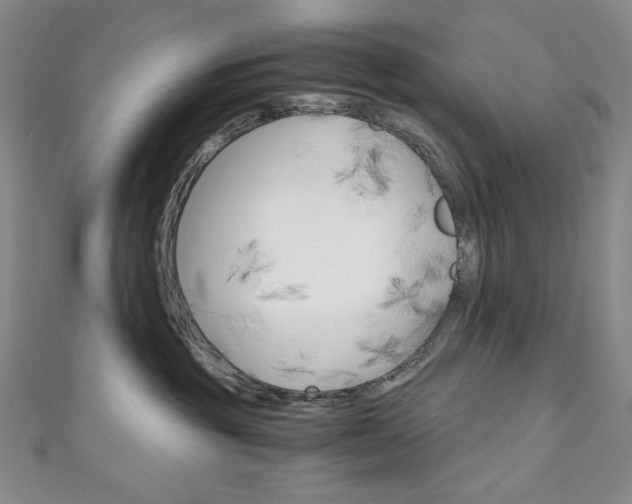 X0000111150381200906301042