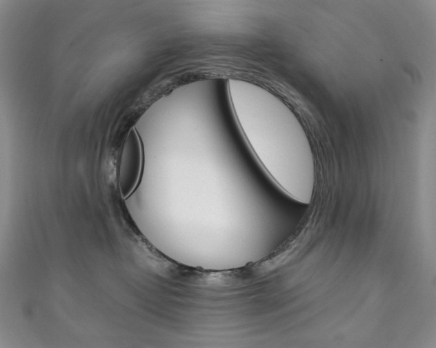 X0000111150382200906301042